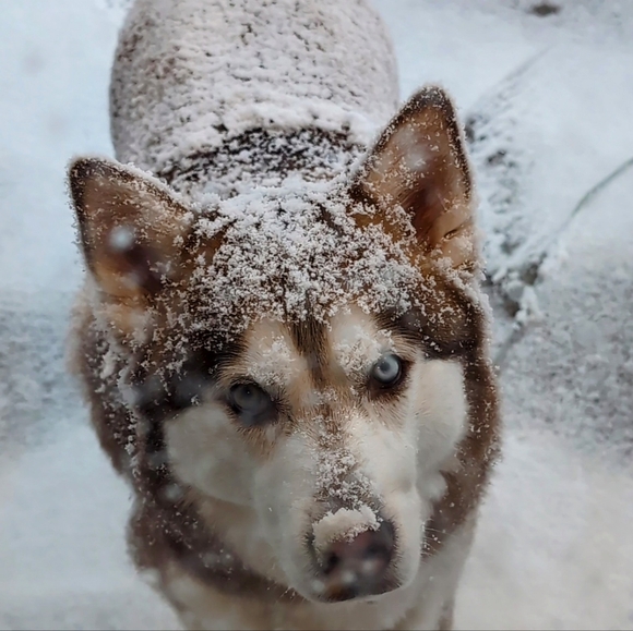 Meet your Posher, Jennifer - Picture 1 of 4